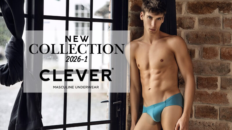 Clever �ø���