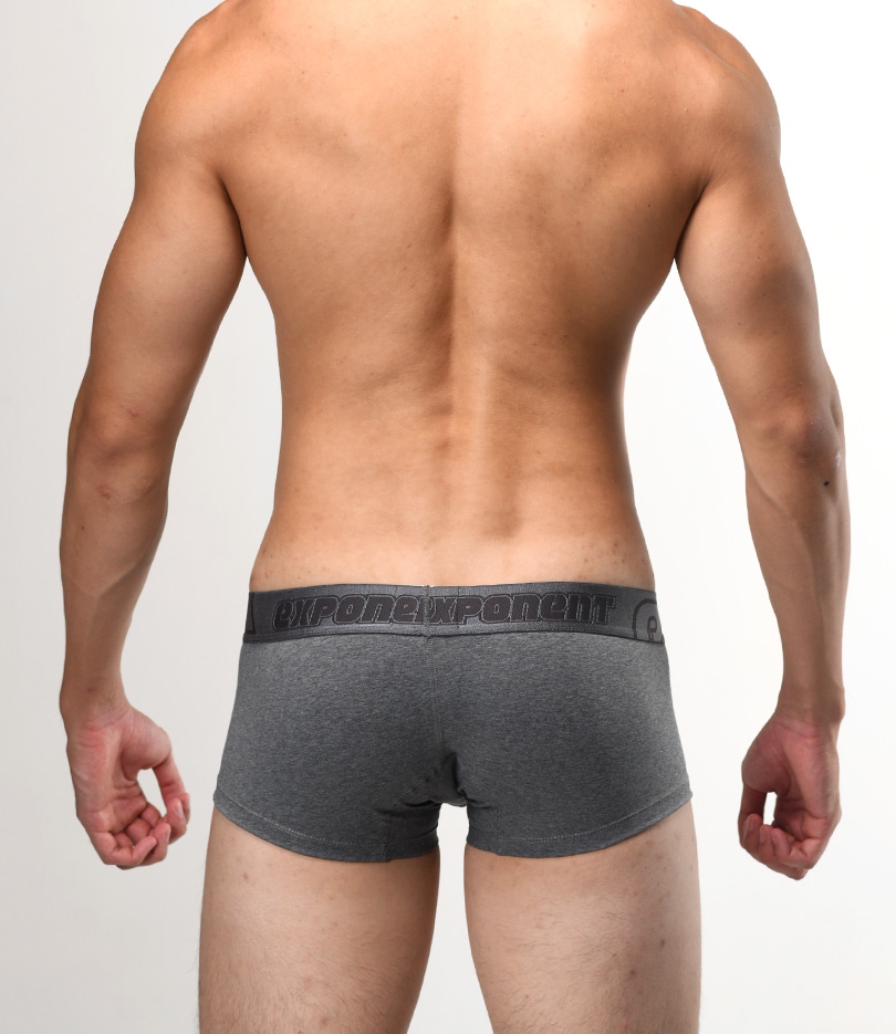 [eXPONENT] Basic Lowrise Boxer Brief Gray (D17R02)