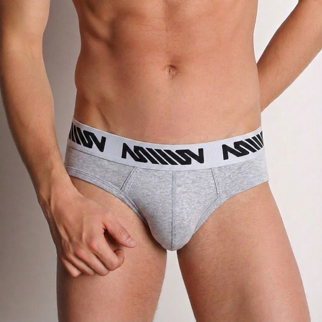 [M2W] Basic Hip Brief Gray (1703-10)