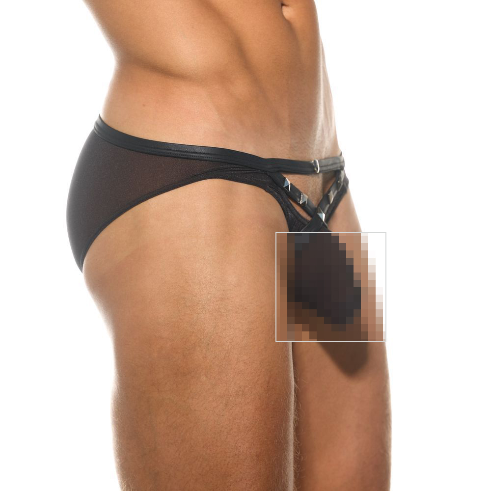 [GREGG] HORSE BRIEF (200503)