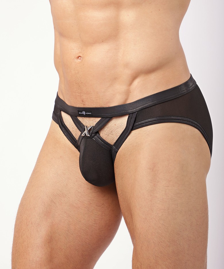 [GREGG] Candy-X Sheer Briefs Black (220403)