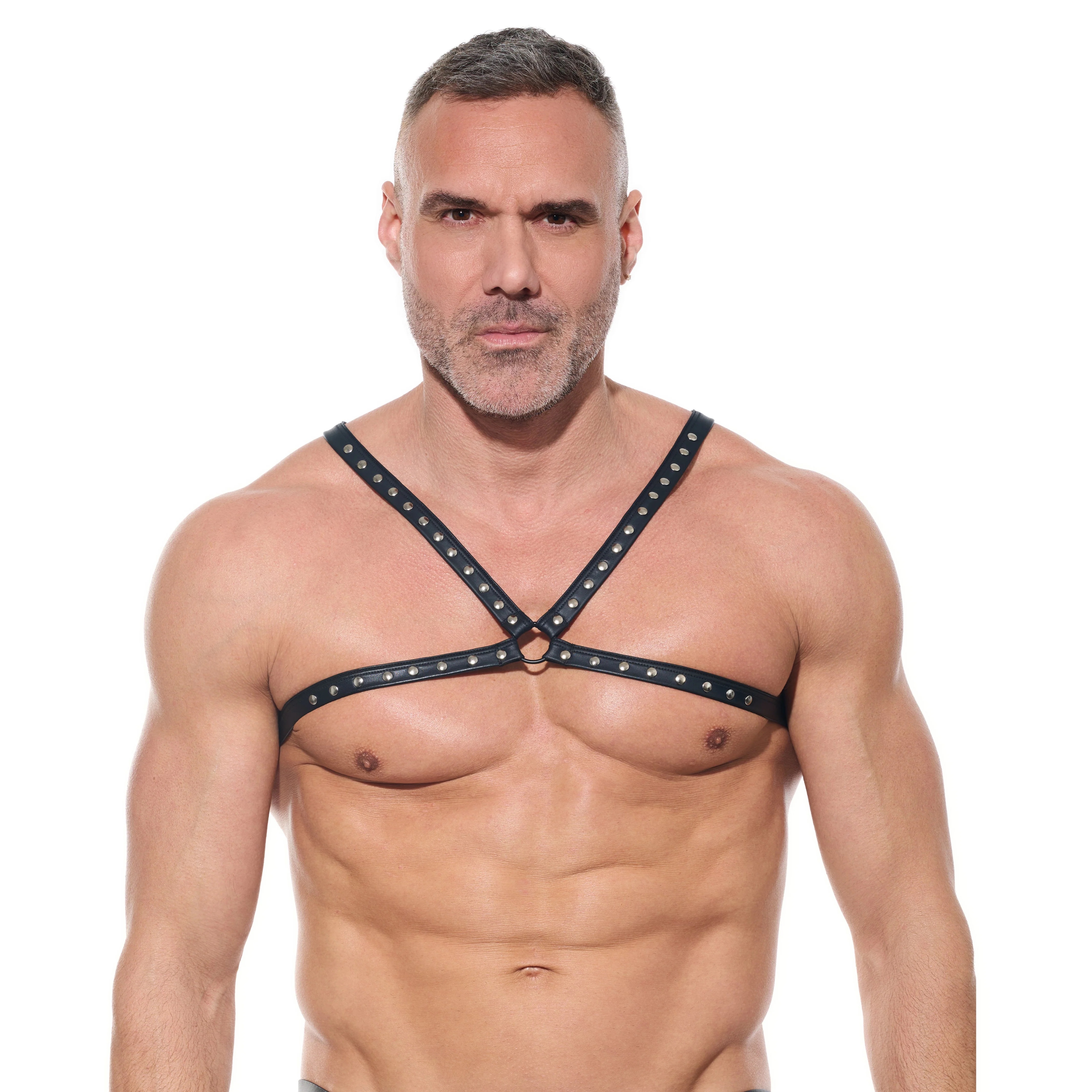 [GREGG] AFTERLIGHT Harness (220960)