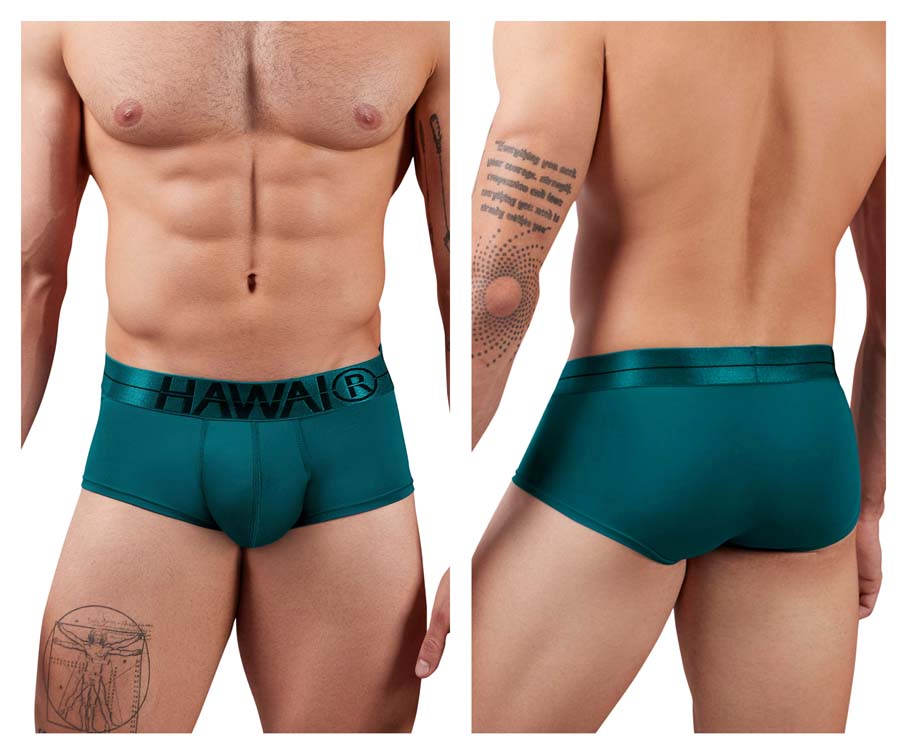[HAWAI] Microfiber Briefs Green (41961)