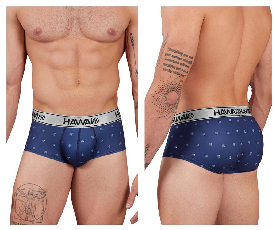 [HAWAI] Printed Microfiber Briefs Blue (42480)