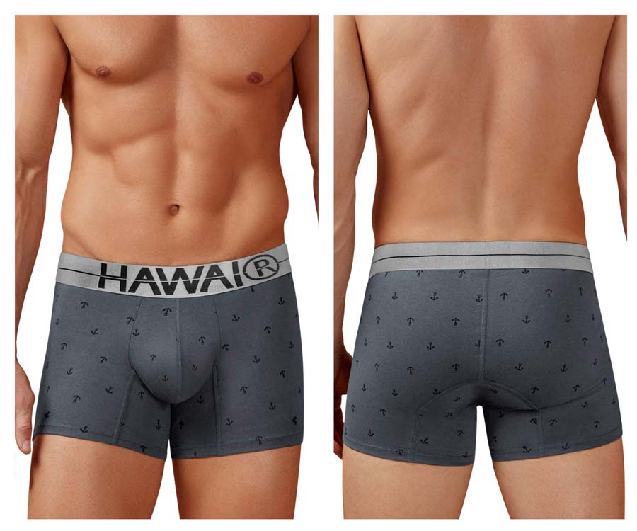 [HAWAI] Cotton blend Trunks Gray (42521)