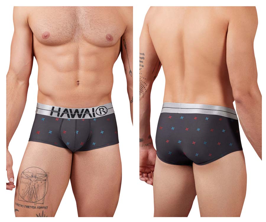 [HAWAI] Printed Microfiber Briefs Gray (42530)