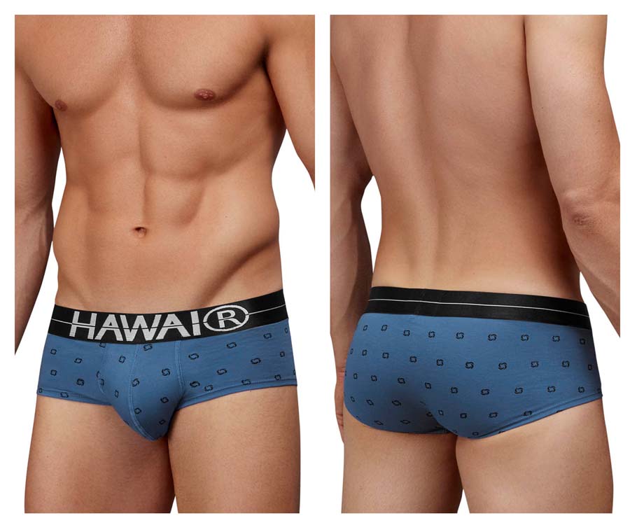 [HAWAI] Cotton blend Briefs Blue Quartz (42531)