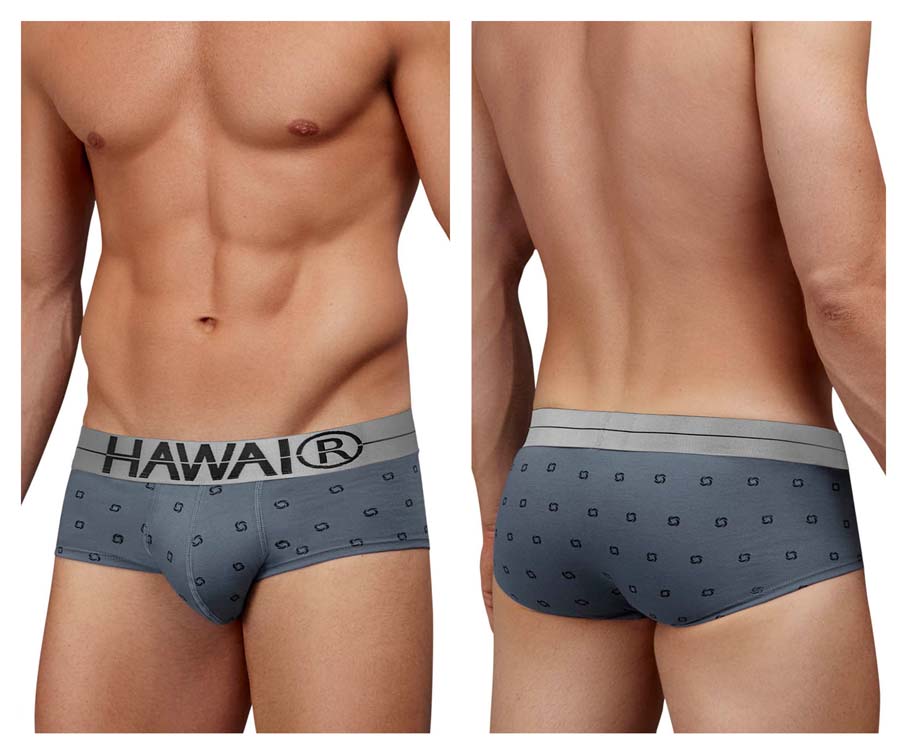 [HAWAI] Cotton blend Briefs Gray (42531)