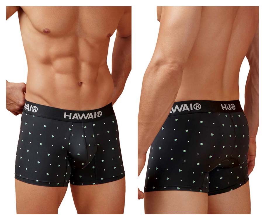 [HAWAI] Microfiber Trunks Black (42570)