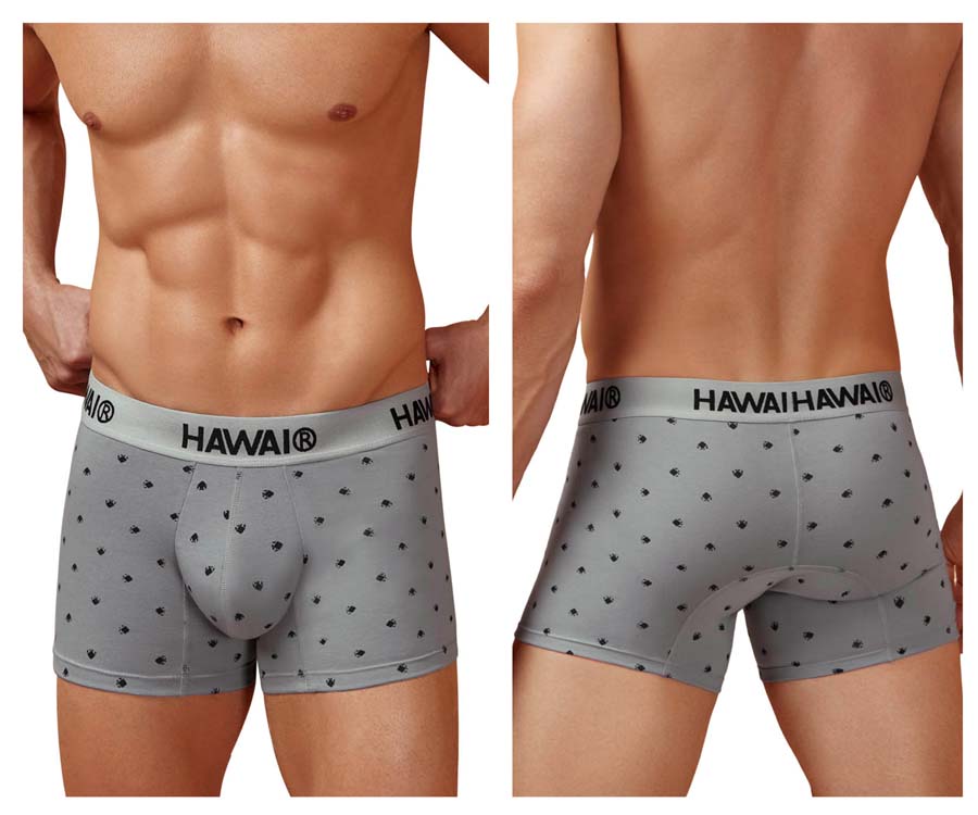 [HAWAI] Cotton blend Trunks Gray (42571)