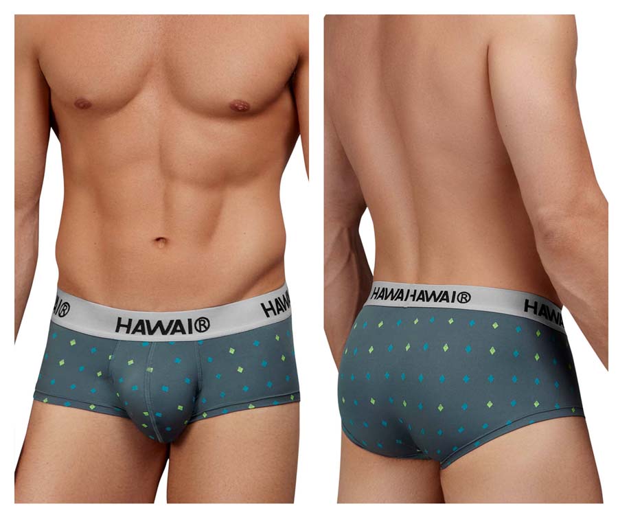 [HAWAI] Microfiber Briefs Gray (42580)