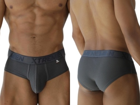 [Xtremen] Microfiber Mesh Briefs Gray (91250)