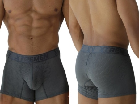 [Xtremen] Microfiber Mesh Boxer Briefs Gray (91251)