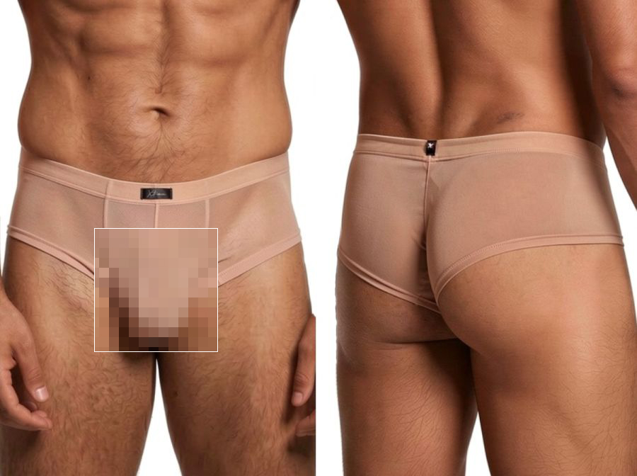 [Xtremen] Microfiber Mesh Briefs Brown (91263)