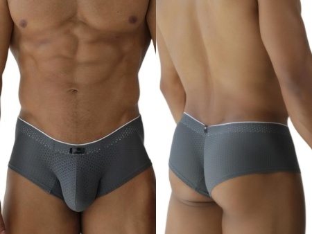 [Xtremen] Microfiber Mesh Briefs Gray (91269)