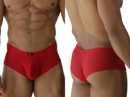 [Xtremen] Microfiber Mesh Briefs Red (91269)