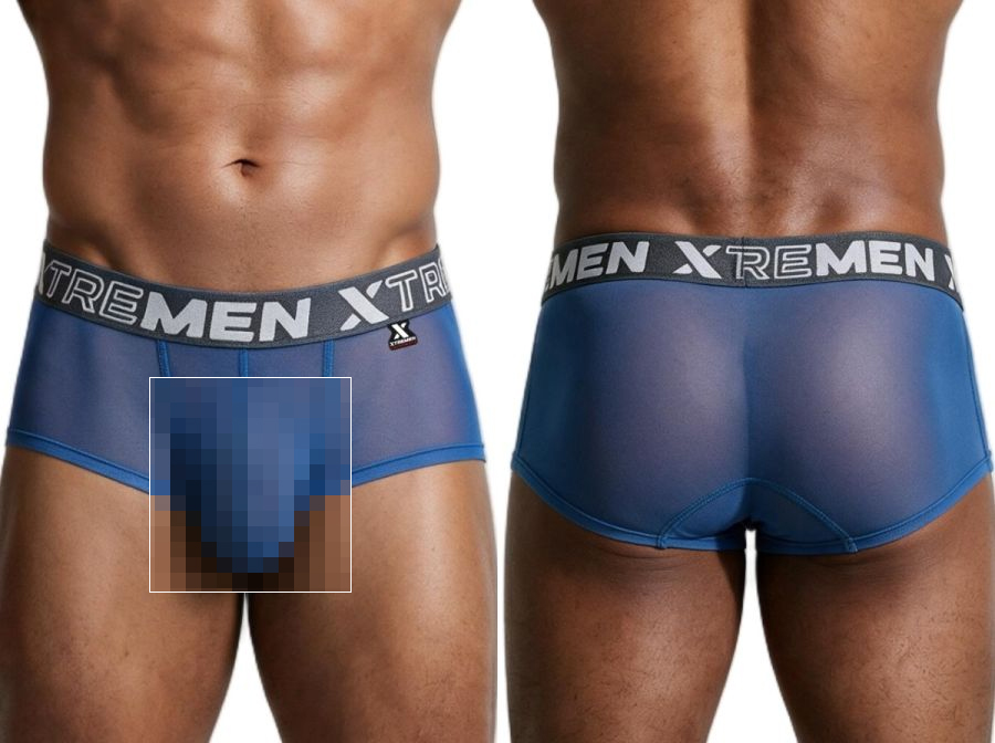[Xtremen] Microfiber Mesh Briefs Blue (91279)