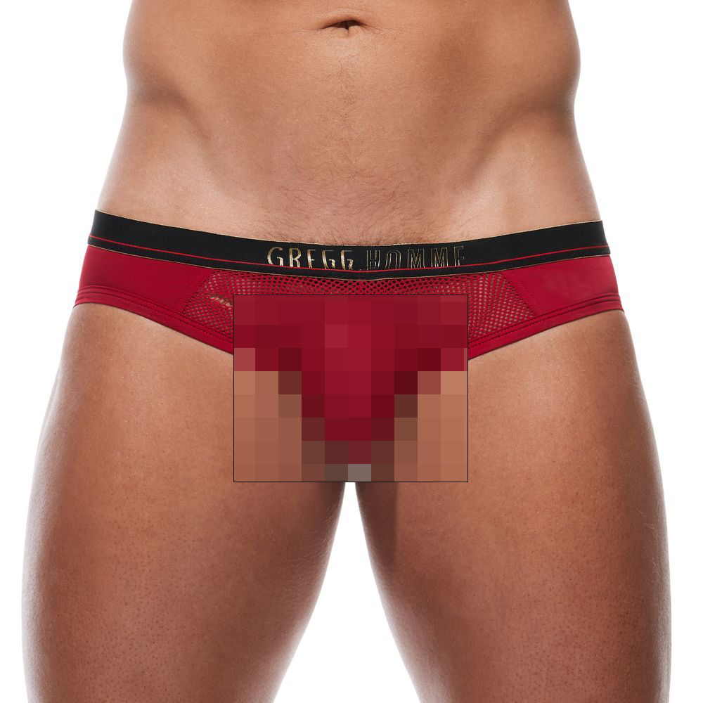 [GREGG] 2XPOSED BRIEF RED (180103)