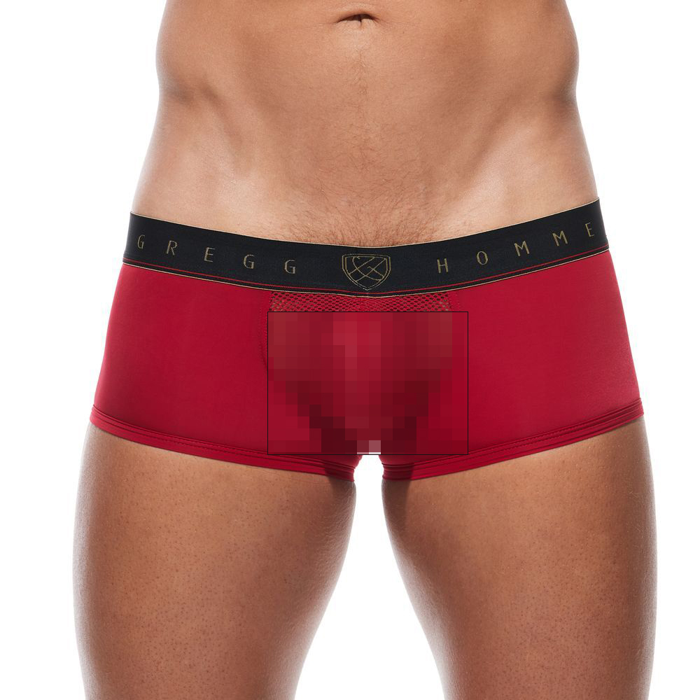 [GREGG] 2XPOSED BOXER BRIEF RED (180105)